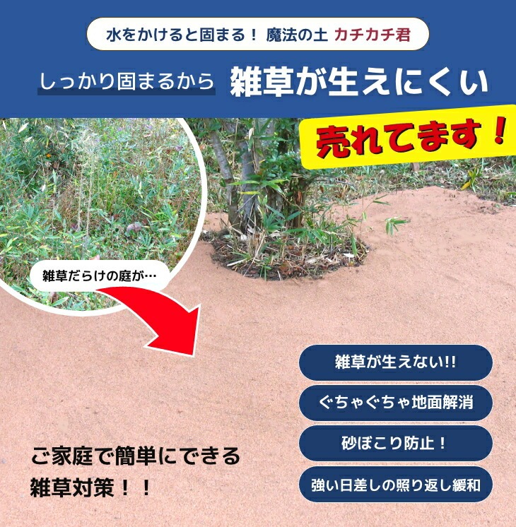 水をかけて固まる魔法の土 カチカチ君 1袋｜ファミリー・ライフ公式通販