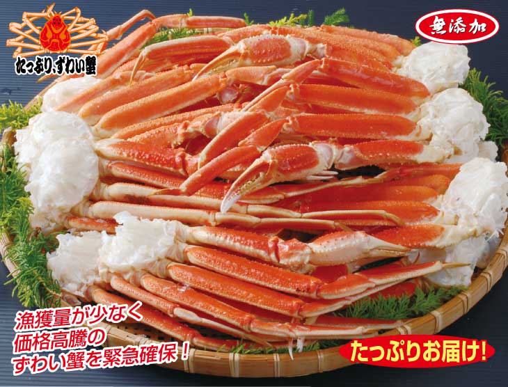 船凍ボイル大型本ずわい蟹脚肉
