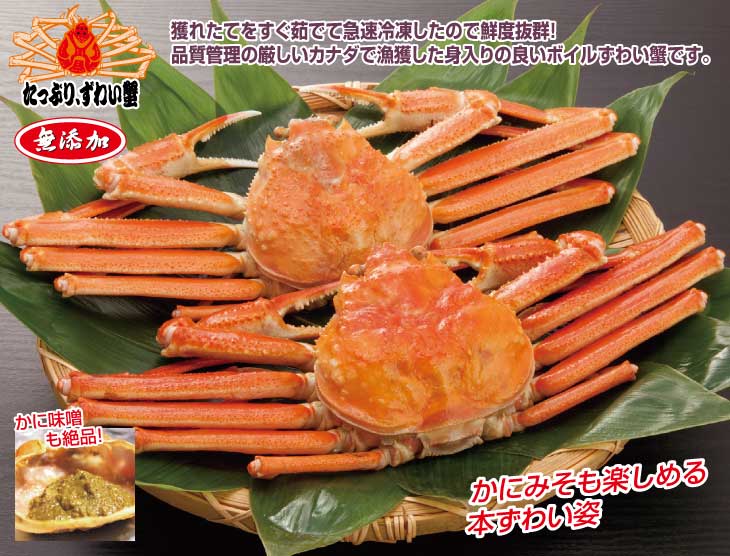 大型ボイル本ずわい姿 2尾 計1.2kg