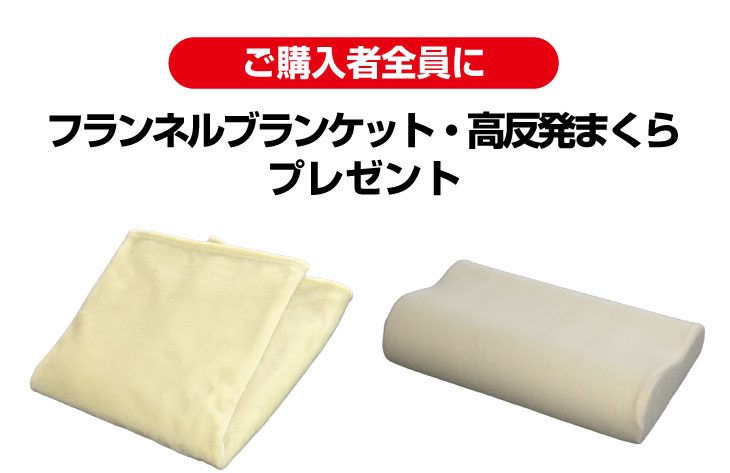 ご購入者全員にフランネルブランケットと高反発まくらをプレゼント