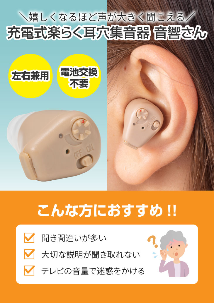 小型集音器 かんたんラクラク耳穴集音器DX 2個セット 耳穴式 目立たない ケース付き コンパクト 集音器 聴力 ノイズ 聴力を補う役割を発揮