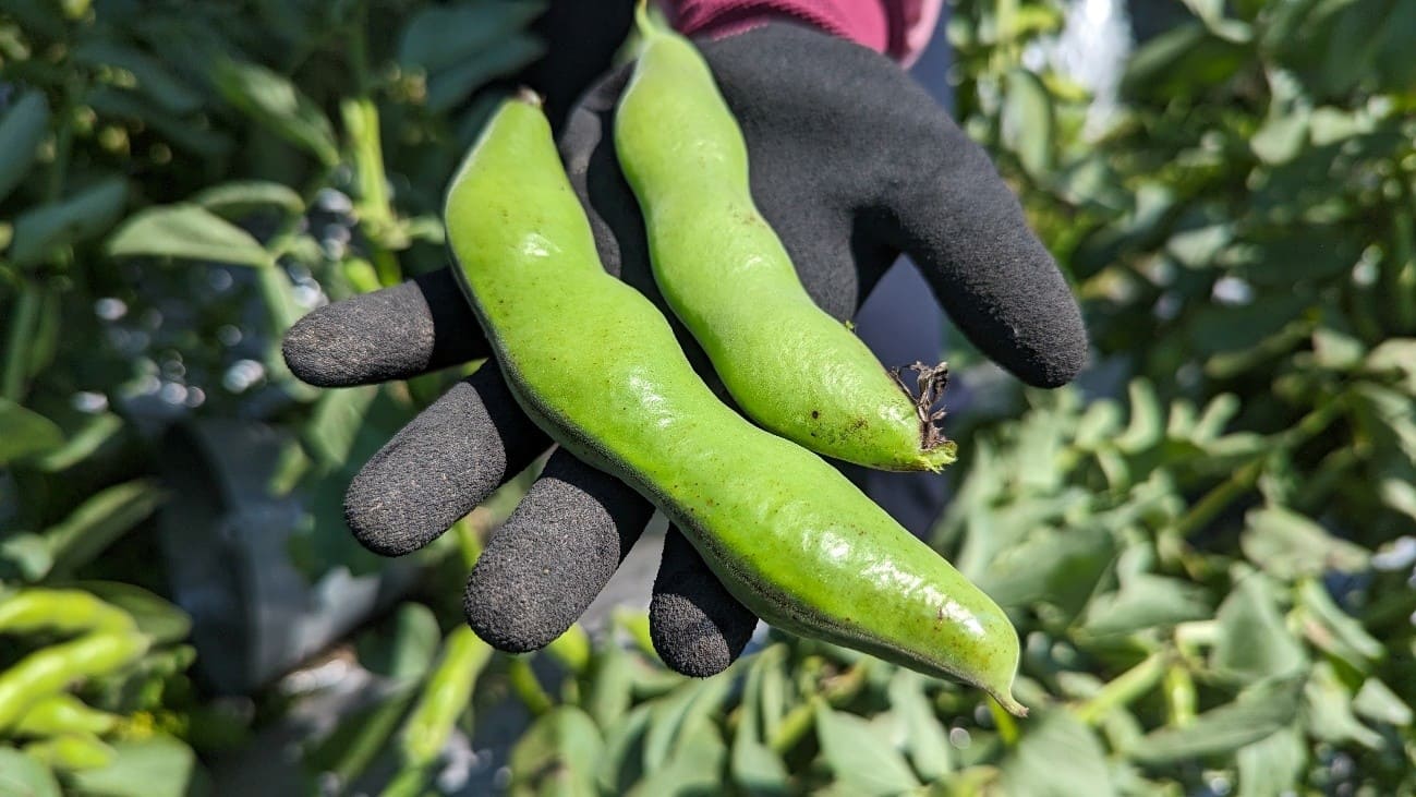 �ϸ��ηäߡ־�����������Ʀ��