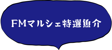 愛媛の新鮮魚介 海の幸特集 愛媛の通販 Fmマルシェ