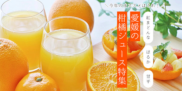柑橘王国愛媛の厳選・柑橘ジュース