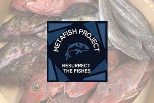 METAFISH PROJECT�μ̿�