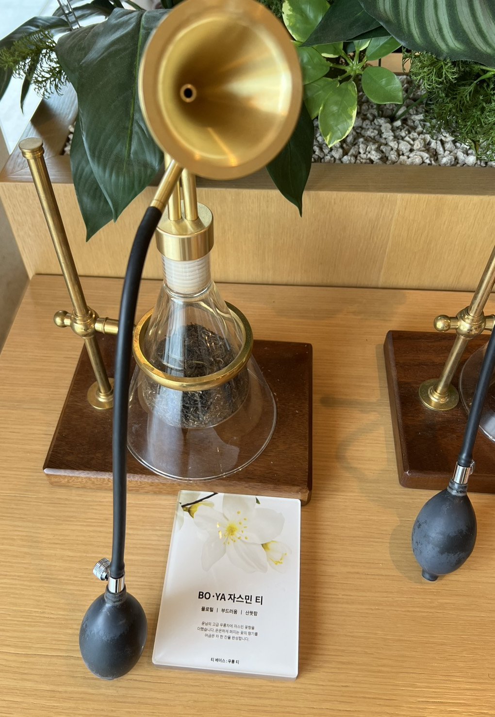 CHAGEEソウル店の入口に置かれた、茶葉の香りを嗅がせる装置。フラスコに茶葉が入り、真鍮のラッパと黒いゴムのポンプがつながっている。手前にBO·YAジャスミンティーのカード