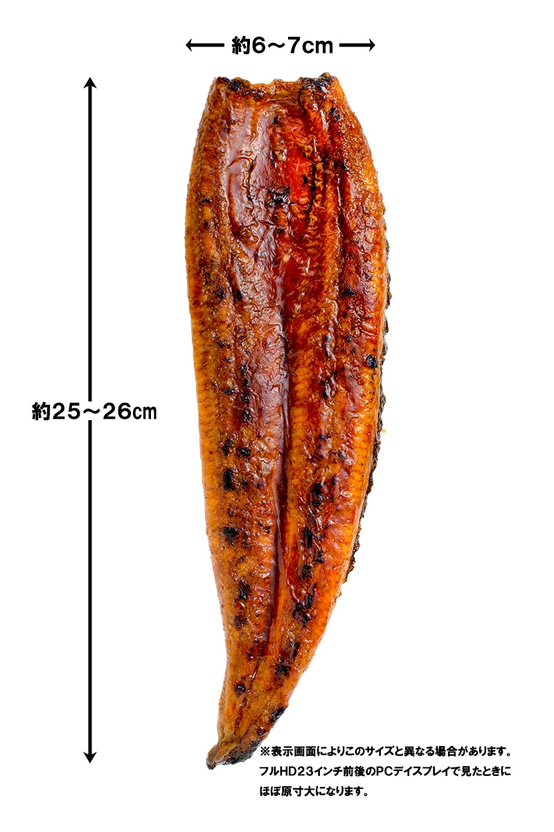 送料無料 国産うなぎ蒲焼き 大サイズ 平均165g前後×4尾の通販。築地