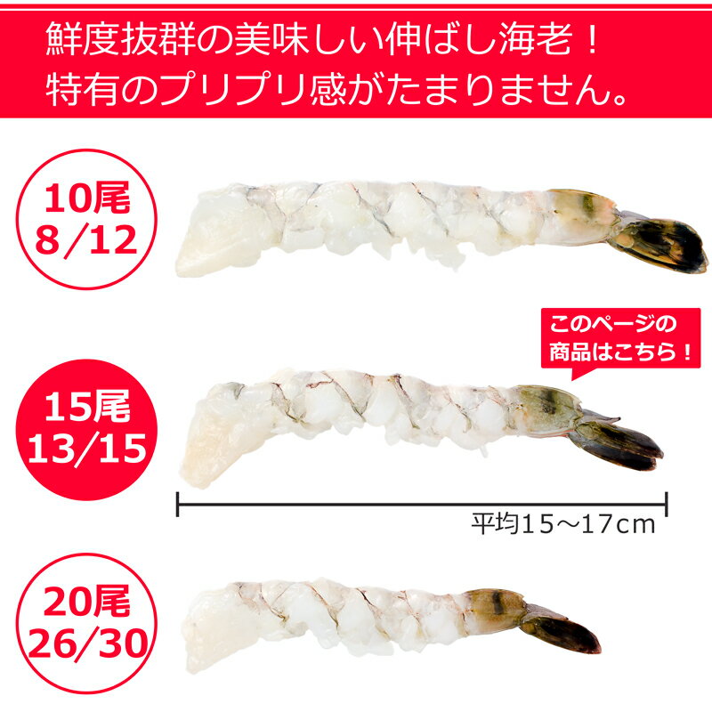 伸ばし海老（１３/１５）１５尾入りビッグサイズの通販。築地市場のまぐろ問屋｜まぐろなら築地の王様