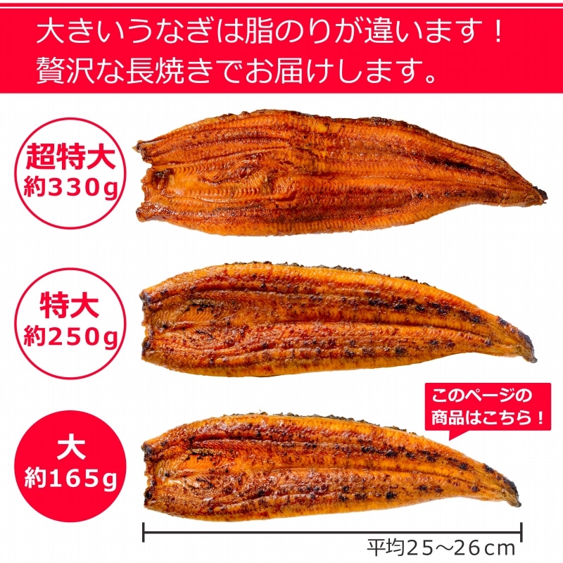 送料無料 国産うなぎ蒲焼き 大サイズ 平均165g前後×4尾の通販。築地