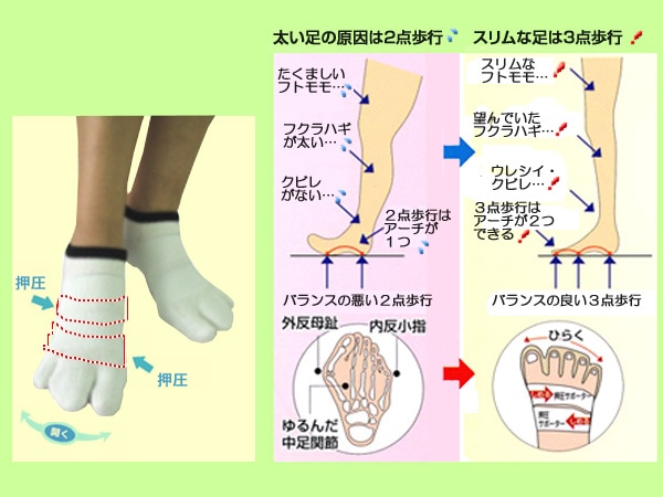 ほーそくなりたいなら履きなさい！ホソックス
