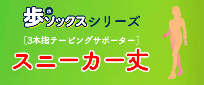 ホソックス見出しタイトル