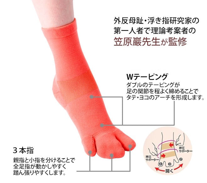 Flamingo3G機能解説