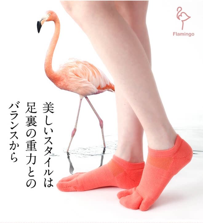 Flamingo3Gメイン画像