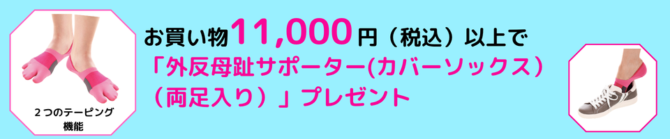 11000円以上プレゼントバナー設定