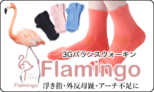 Flamingo3Gバランスウォーキン