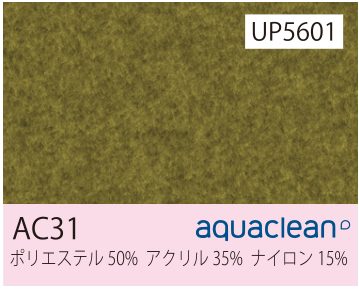張地 AC31