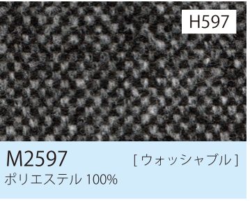 張地 M2597