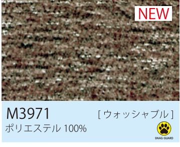 張地 M3971
