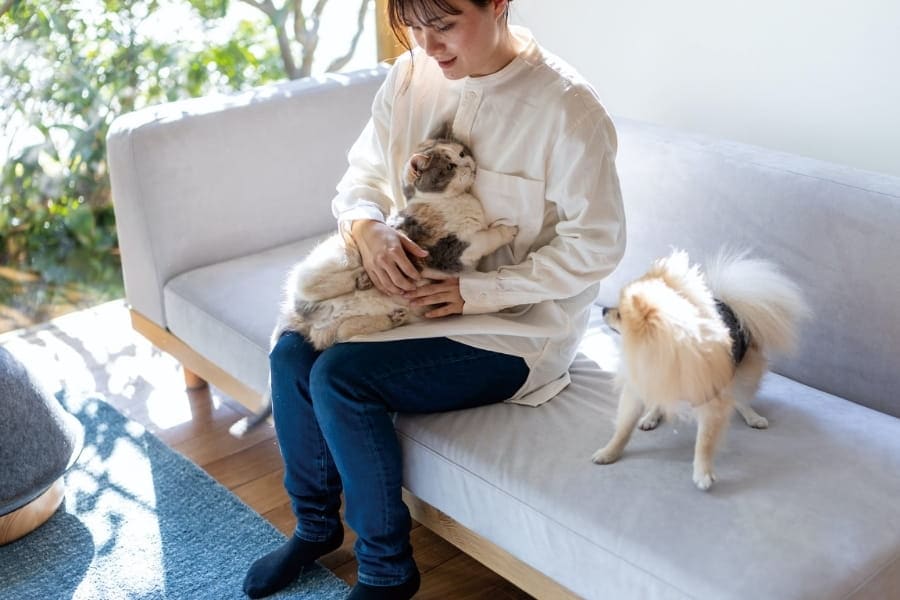猫と犬と一緒にソファでくつろぐ様子