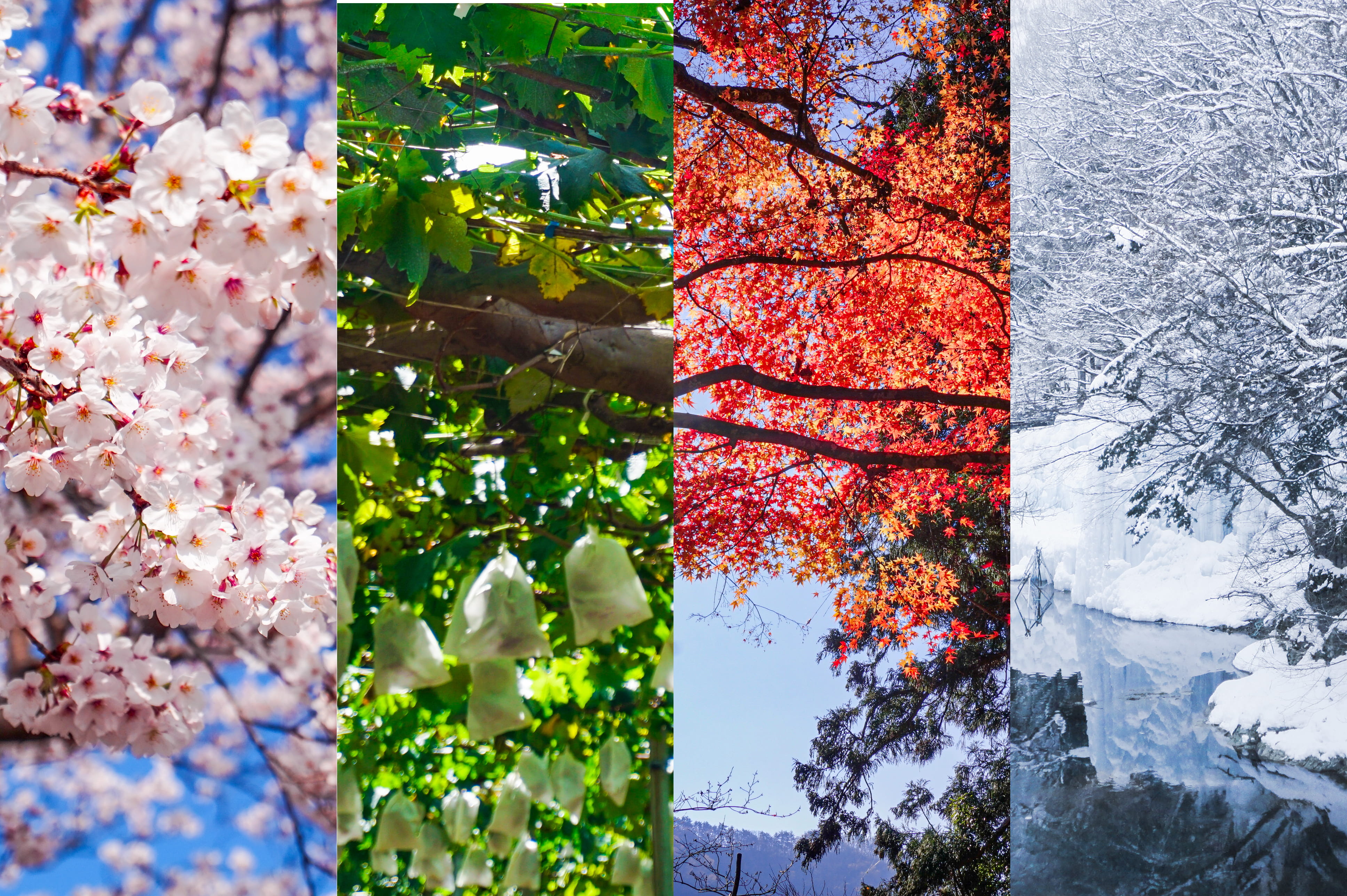 季節によるソファ素材の使い心地の違いをイメージした写真