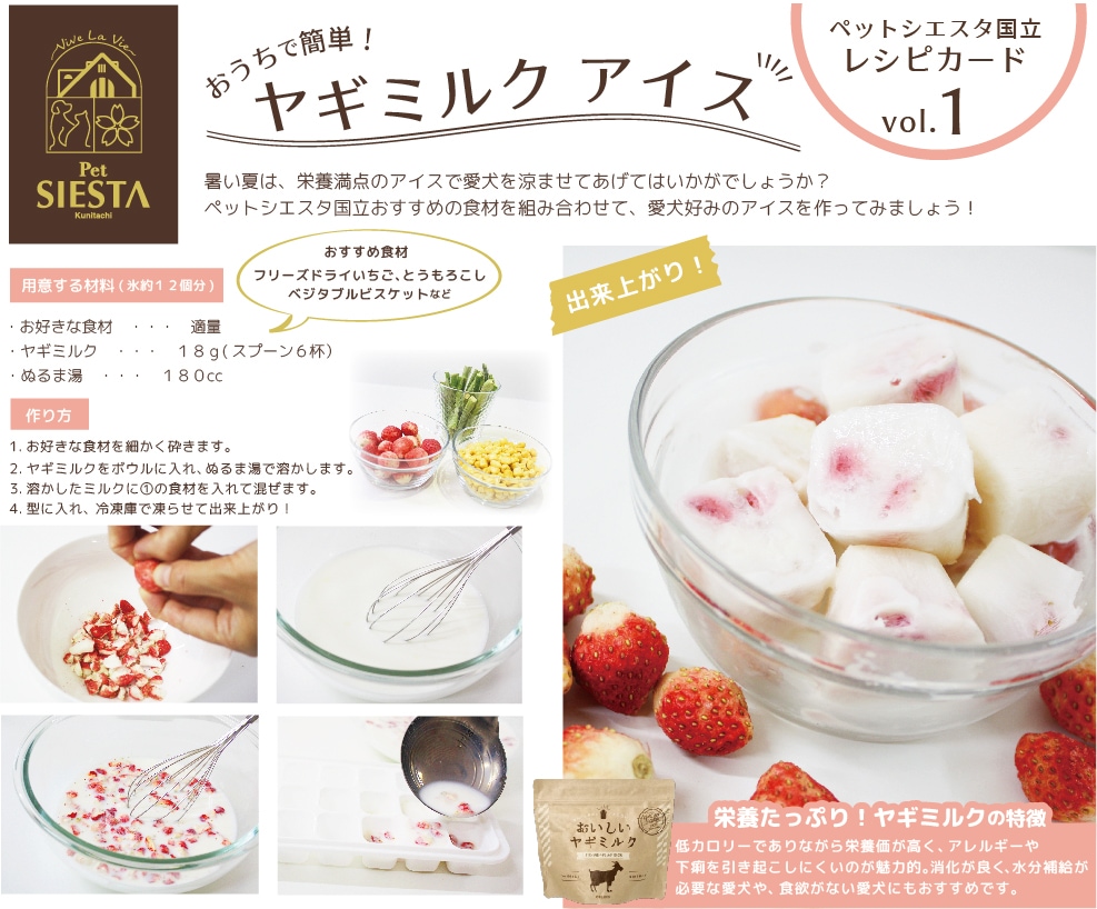 北海道産 フリーズドライいちご 9g | ペットシエスタ