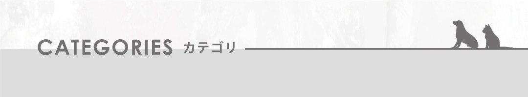 カテゴリバナー