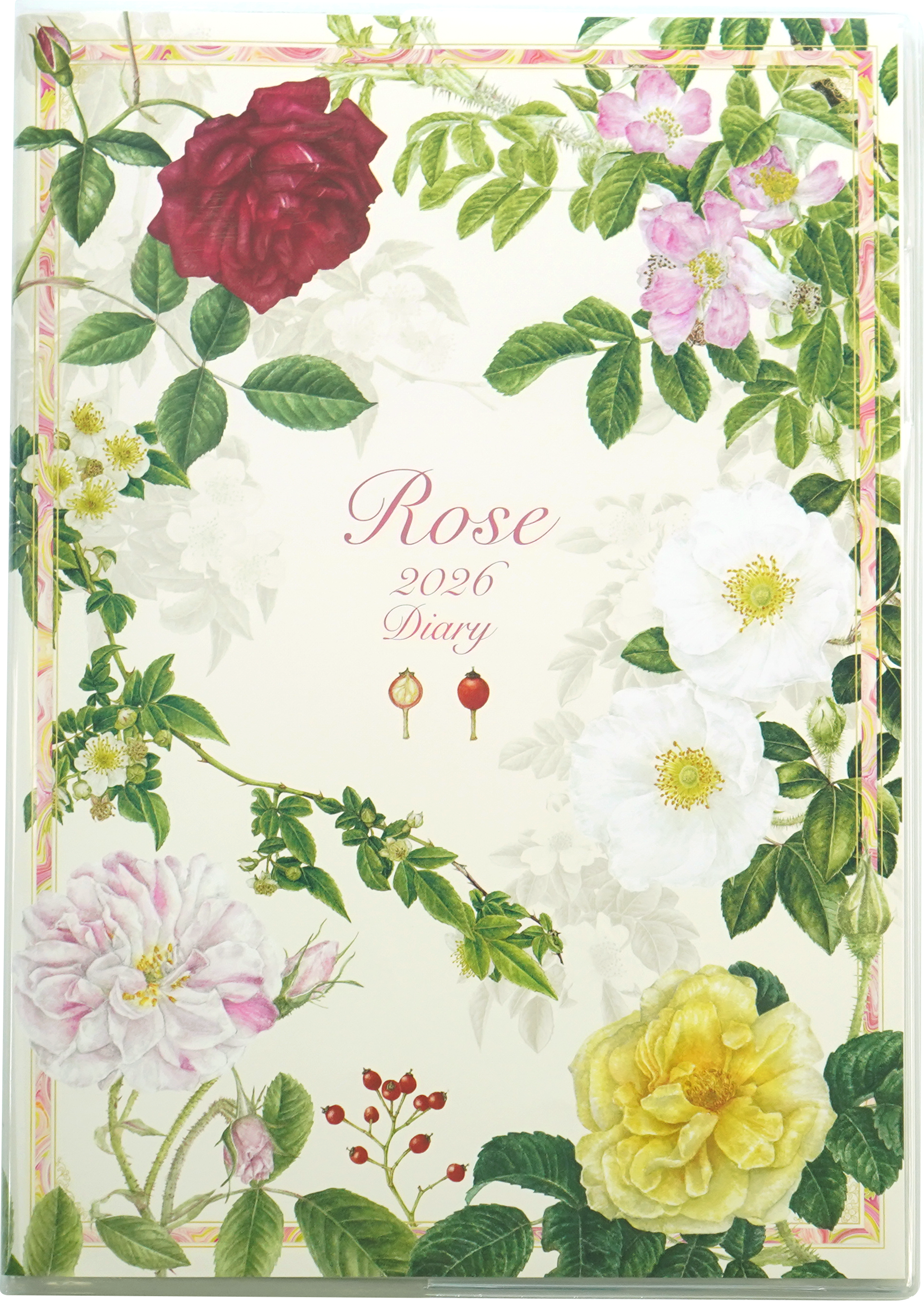 2026�������꡼A5 ���饷�å��������������� dy-134