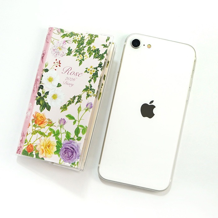 2026�������꡼SS ���饷�å��������ԥ��� dy-147