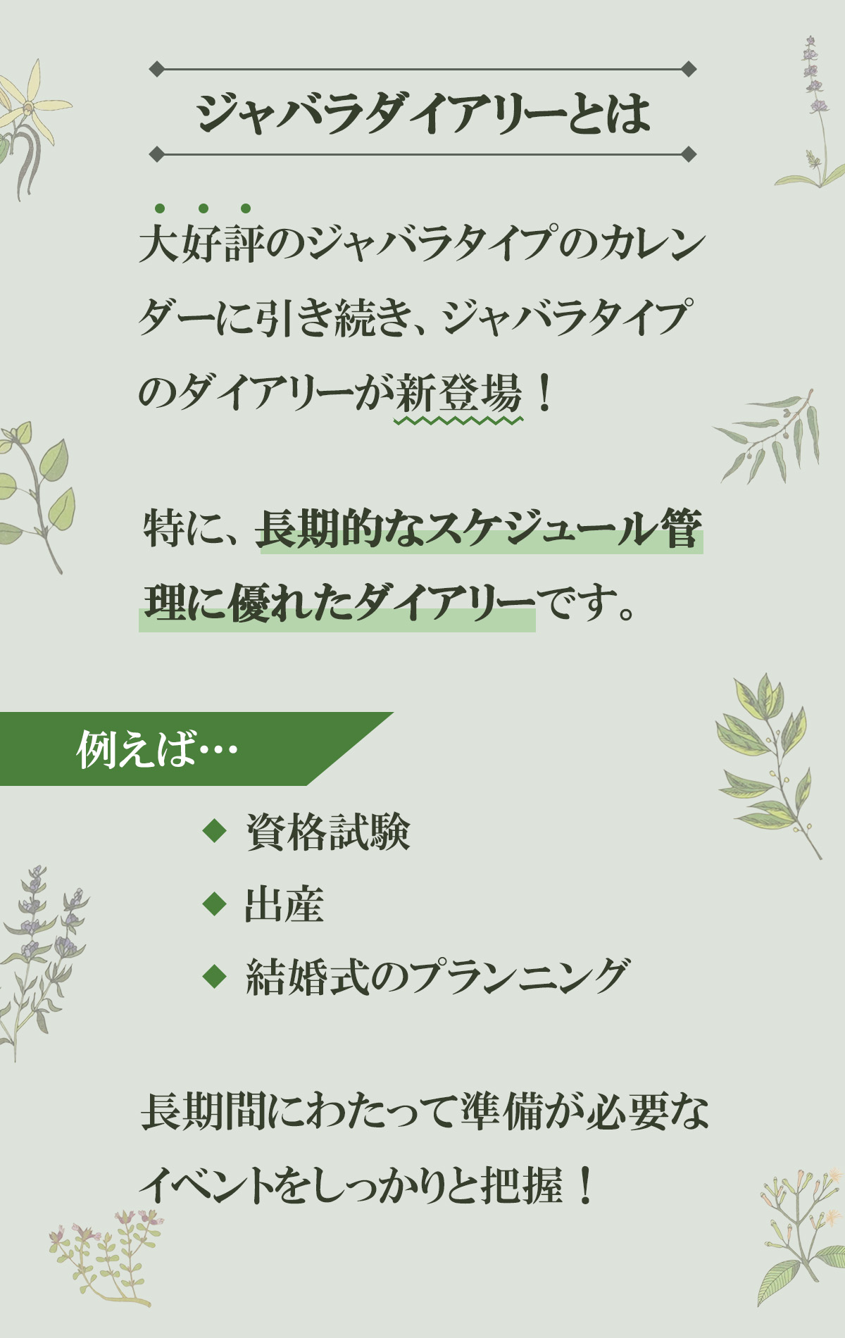 ����Х�������꡼�Ȥ� �繥ɾ�Υ���Х饿���פΥ��������˰���³��������Х饿���פΥ������꡼�����о졪�äˡ�Ĺ��Ū�ʥ������塼��
������ͥ�줿�������꡼�Ǥ����㤨�С���ʻ���л����뺧���Υץ��˥󥰤ʤɡ�Ĺ���֤ˤ錄�äƽ�����ɬ�פ�
���٥�Ȥ򤷤ä�����İ���