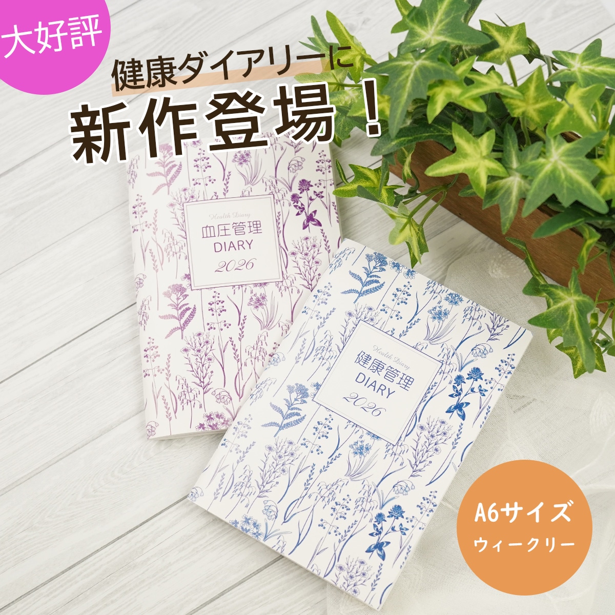 2026ǯ �������꡼ ��Ģ A6 �ե���ƥ��� ���� �� �򹯥������꡼ ���������꡼