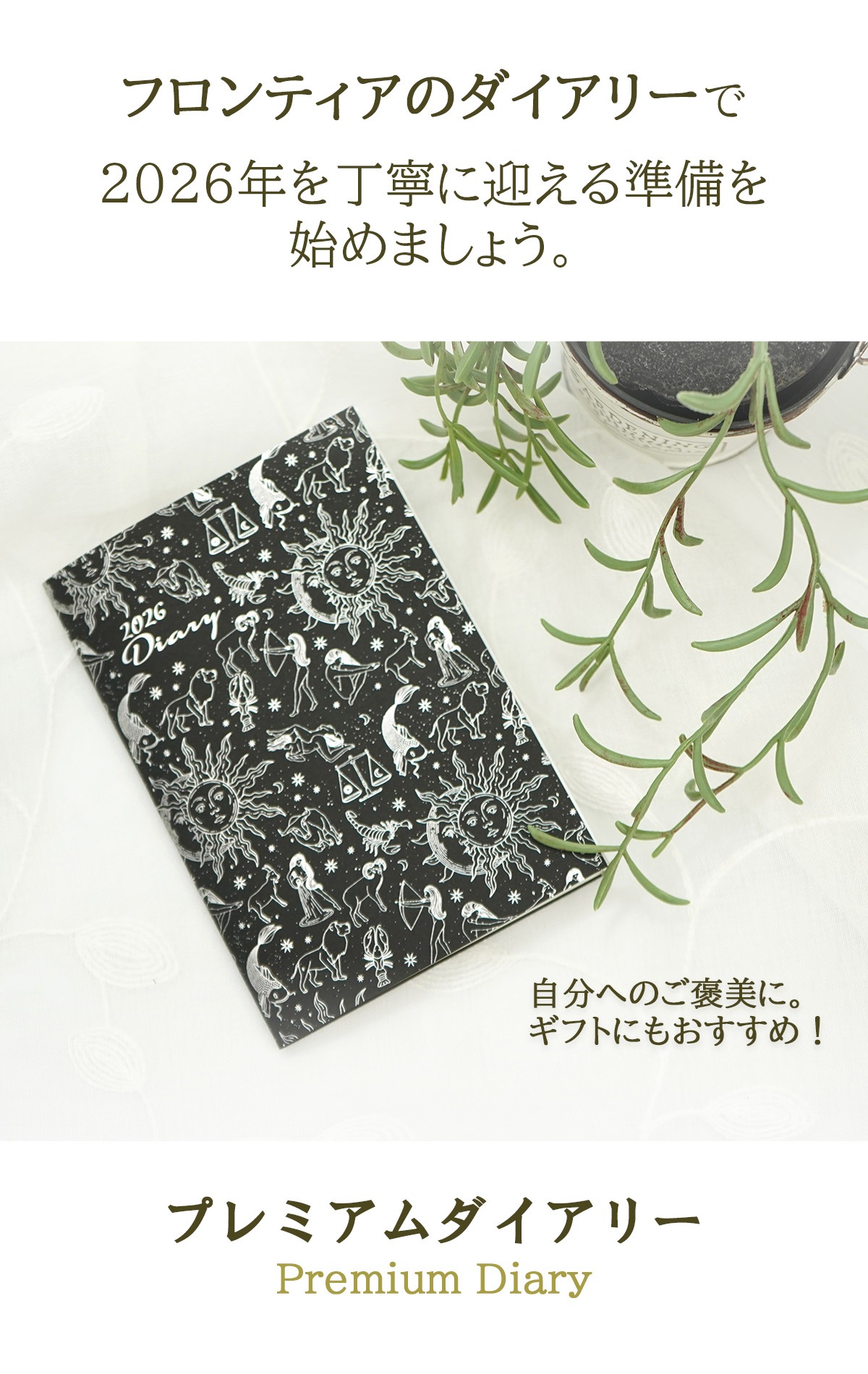 �ե���ƥ����Υ������꡼��2026ǯ����ǫ�˷ޤ��������Ϥ�ޤ��礦����ʬ�ؤΤ�˫���ˡ�
���եȤˤ⤪�����ᡪ�ץ�ߥ���������꡼