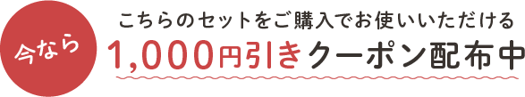 今ならこちらのセットをご購入でお使いいただける1,000円引きクーポン配布中