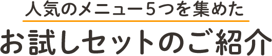 人気のメニュー５つを集めたお試しセットのご紹介