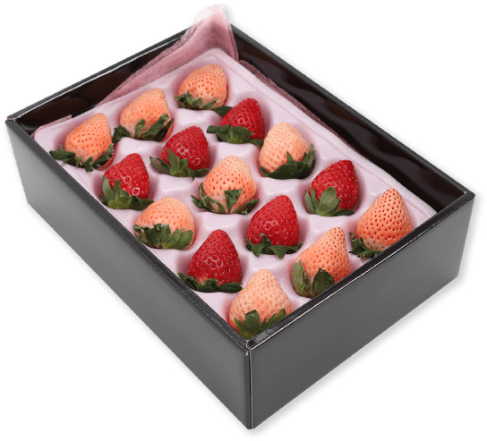 歳暮フルーツ お歳暮 アオキフルーツオンライン