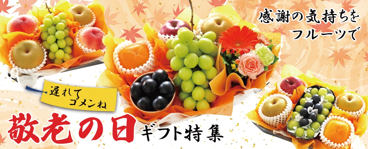 楽天市場】2ケース単位12本入り ギフト プレゼント クリスマス 父の日