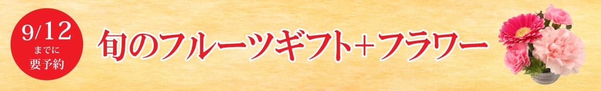 �ܤΥե롼�ĥ��եȡܥե�