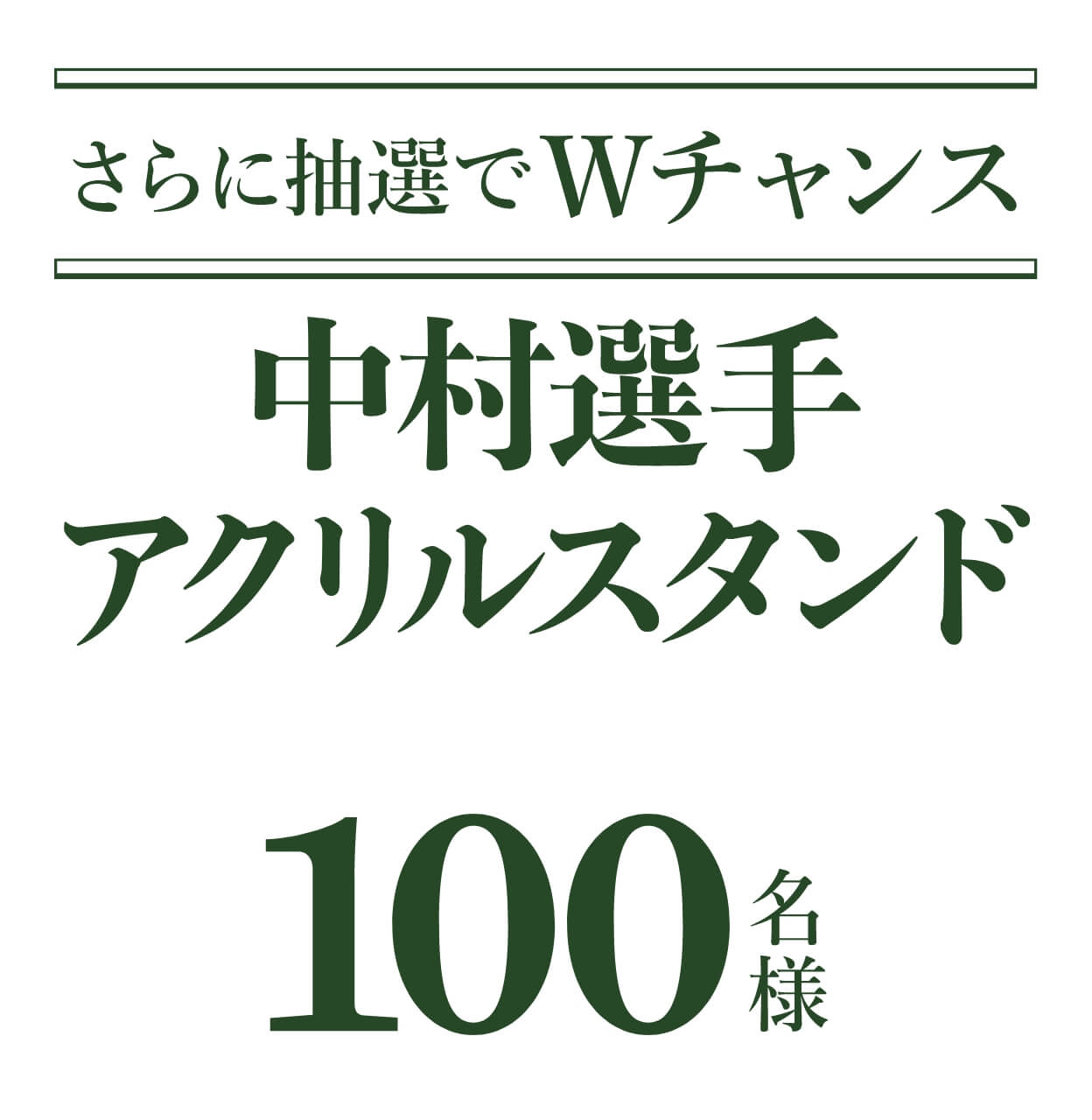 �����������W����󥹡���¼���ꥢ����륹����ɡ�100̾�͡�