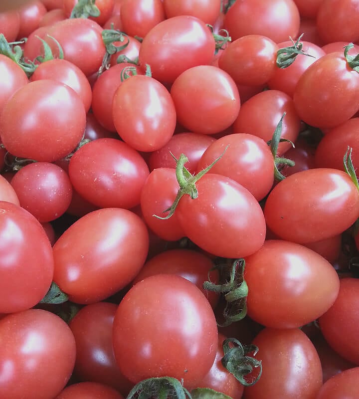 コモモミニトマト