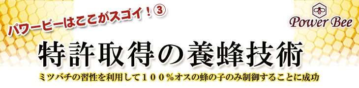 特許取得の養蜂技術