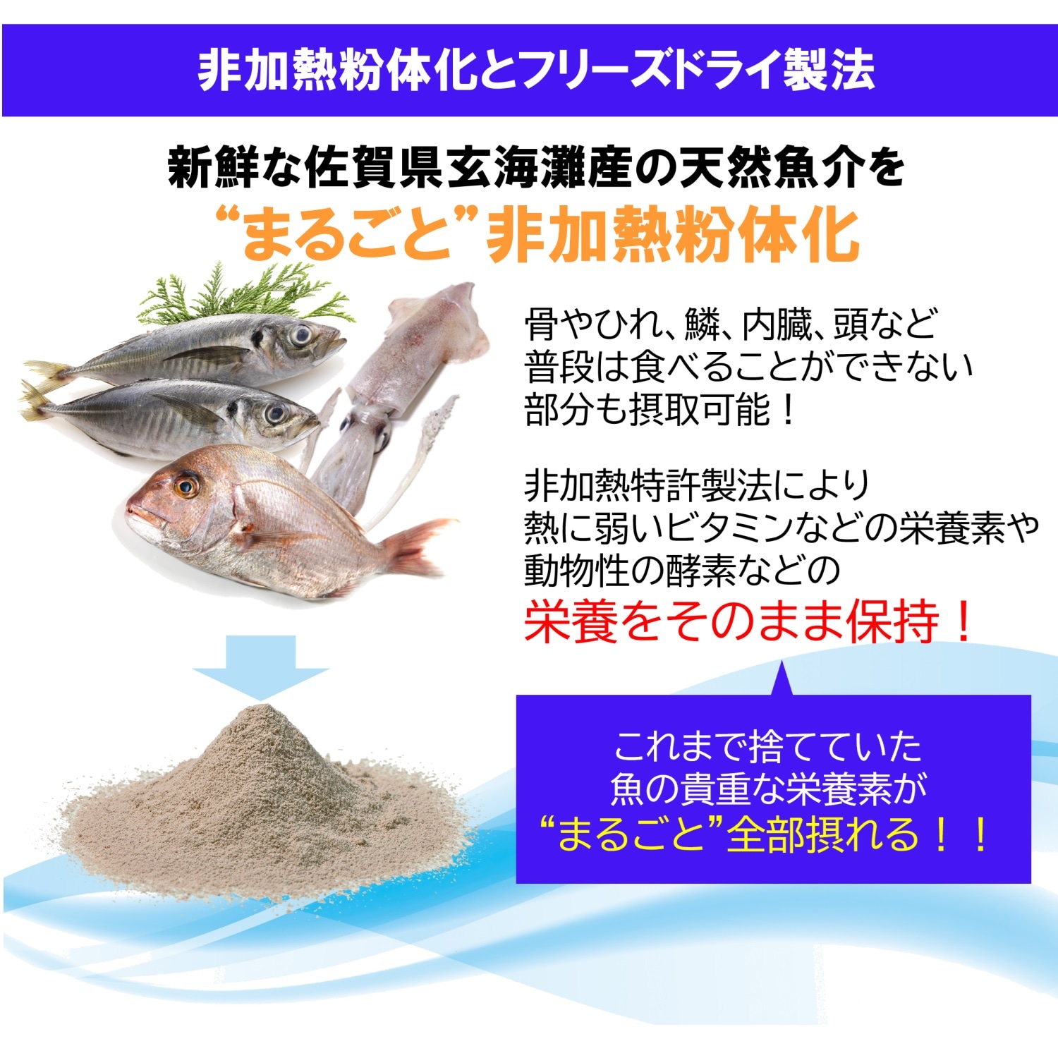 送料無料 お魚まるごとプラス 黒茶の王様 茯茶 ジャスミン公式通販