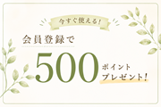 500�ݥ����