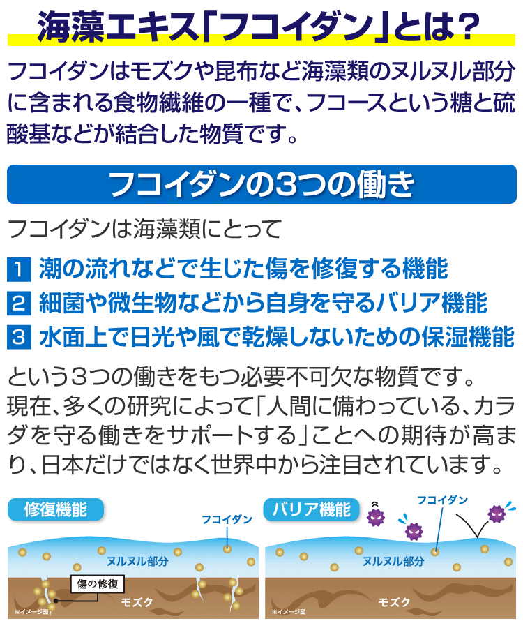 もずくのフコイダンとは