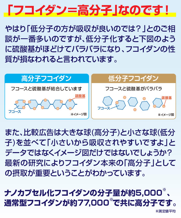 もずくのフコイダンとは