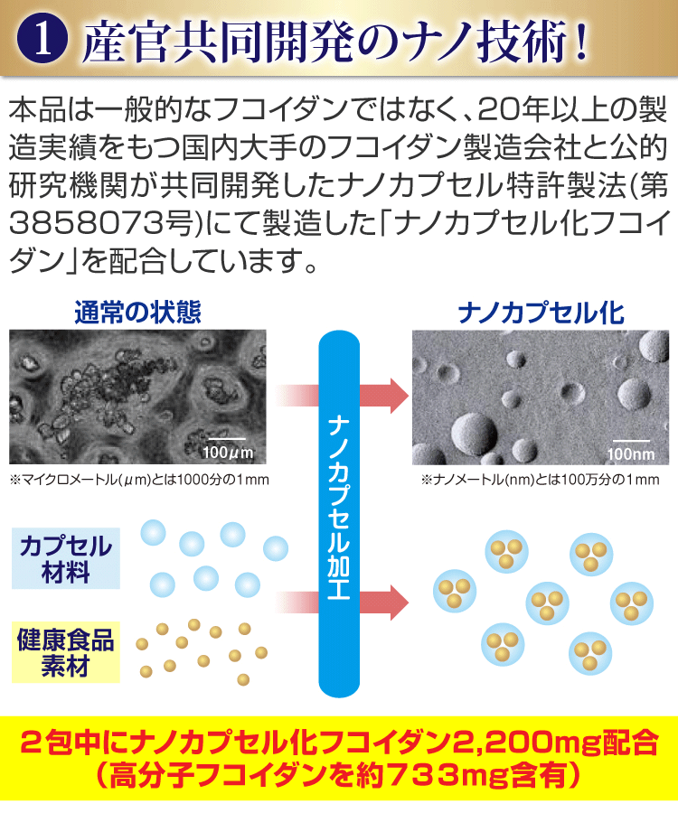 ナノカプセル製法で製造