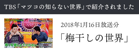 TBS「マツコの知らない世界」で紹介されました