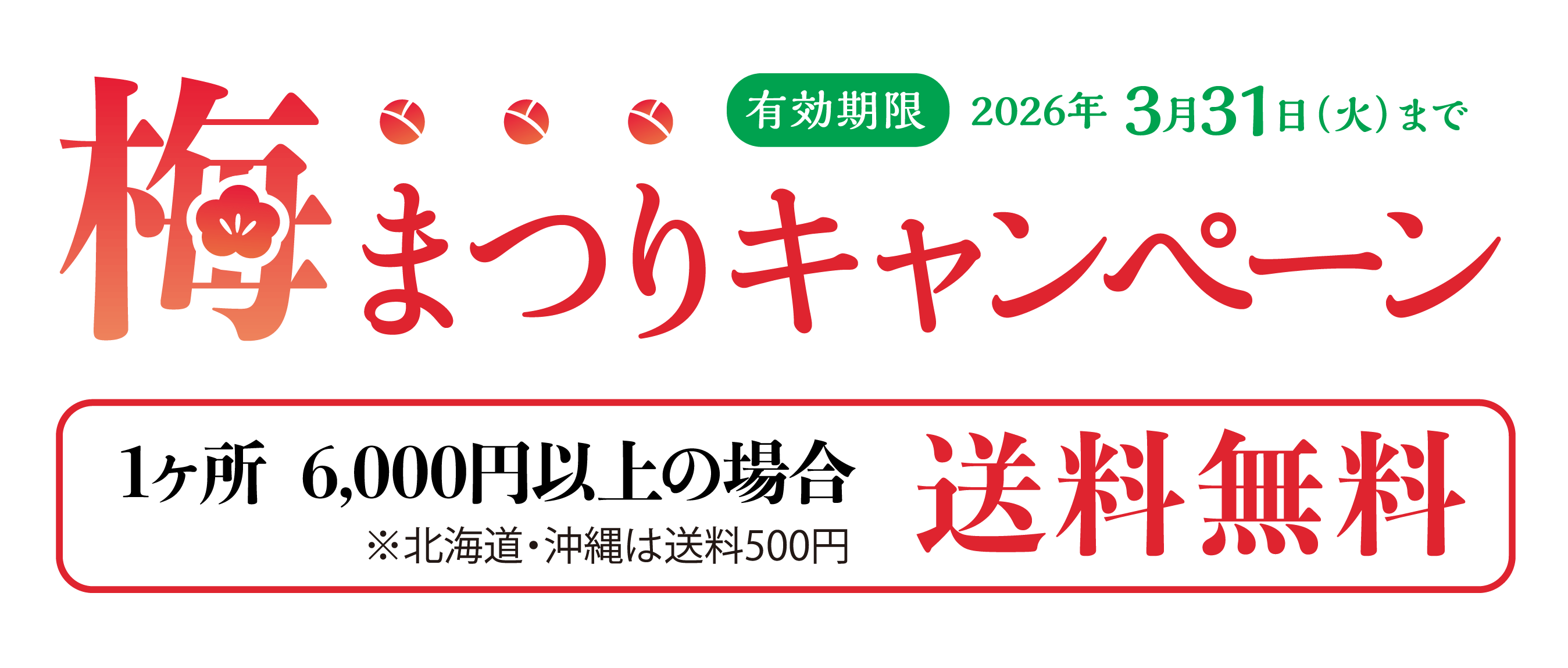 �ߤޤĤꥭ���ڡ��� ͭ������2026ǯ3��31���ʲСˤޤ� 1����6,000�߰ʾ�ξ������̵�� ���̳�ƻ�����������500��