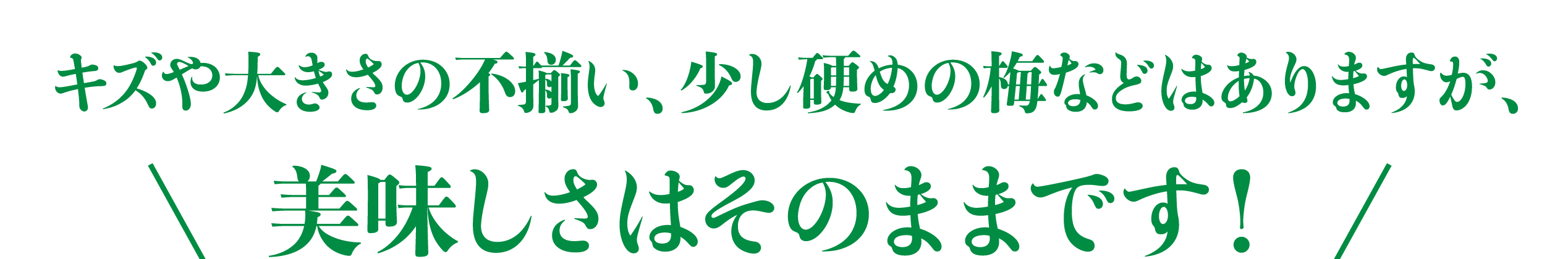 �������礭������·���������Ť���ߤʤɤϤ���ޤ�������̣�����Ϥ��ΤޤޤǤ���