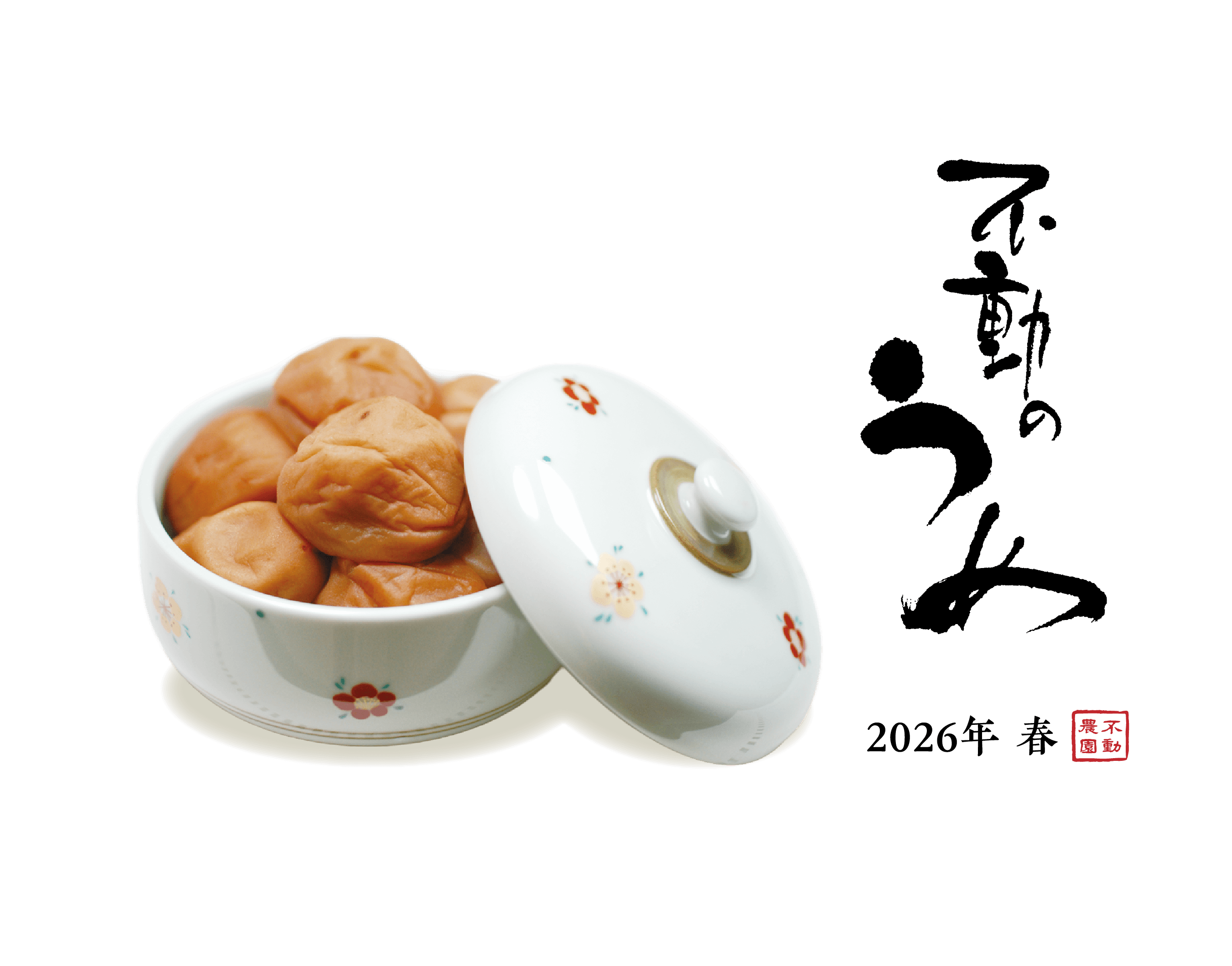 ��ư�Τ��� 2026ǯ�� ��ư����