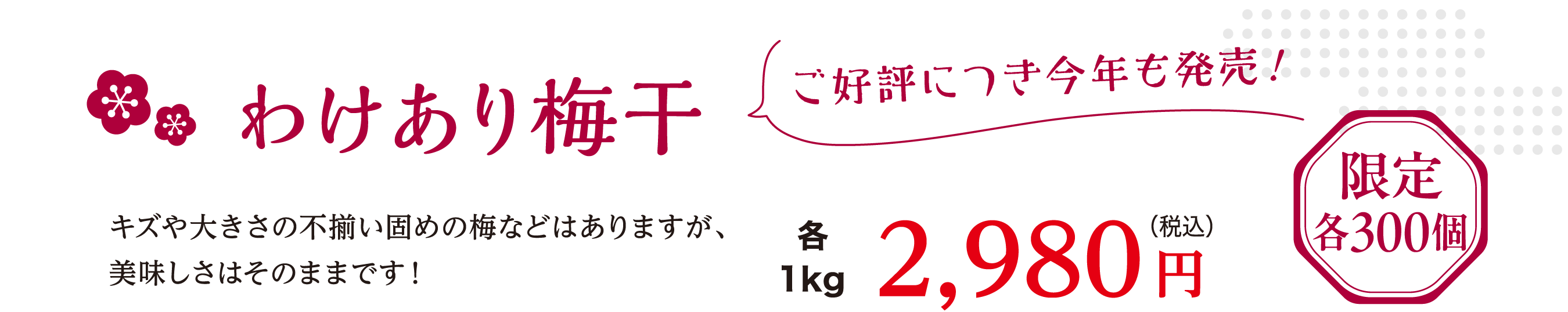 ɾˤĤǯȯ䡪 櫓ߴ 礭·ǤߤʤɤϤޤ̣ϤΤޤޤǤ