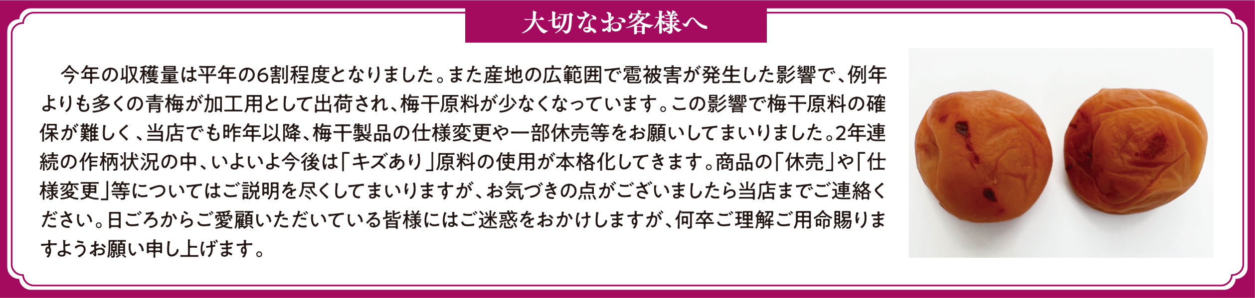 ڤʤͤ ǯμ̤ʿǯ6٤ȤʤޤޤϤιϰϤﳲȯƶǡǯ¿ߤùѤȤƽв٤졢ߴʤʤäƤޤαƶߴγݤ񤷤ŹǤǯʹߡߴʤλѹ򤪴ꤤƤޤޤ2ǯϢ³κ桢褤躣ϡ֥׸λѤܳʲƤޤʤΡֵפֻѹˤĤƤϤԤƤޤޤŤޤŹޤǤϢ餴ܤƤ볧ͤˤϤǤ򤪤ޤ´̿ޤ褦ꤤ夲ޤ